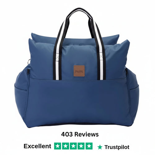 Dog Dock Bag — Your Pup Rides Safe | ISOFIX Anchors