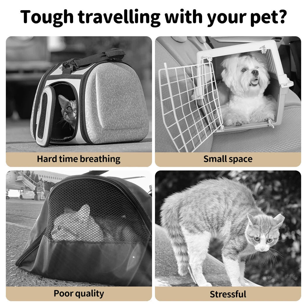 Dog Dock Bag — Your Pup Rides Safe | ISOFIX Anchors